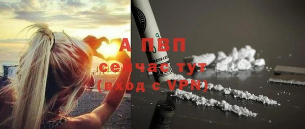 гашик Нефтекумск