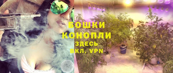 гашик Нефтекумск