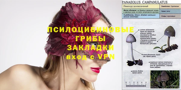 молекула духа Нея