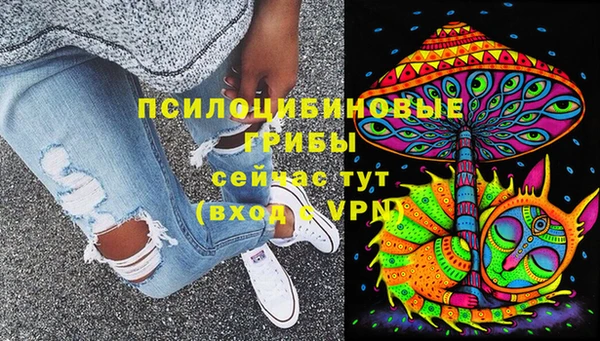 гашик Нефтекумск