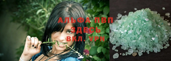 стаф Нефтегорск